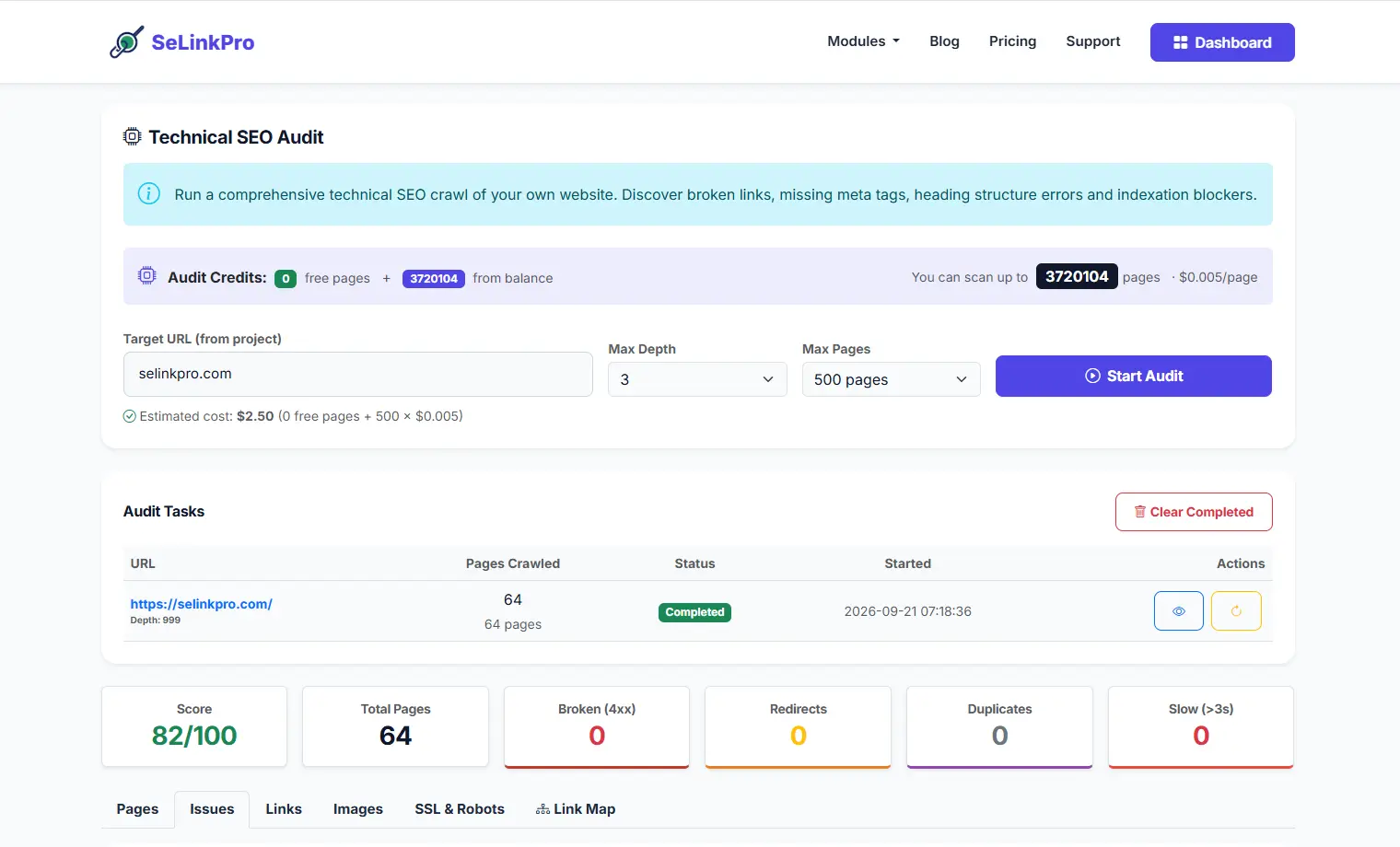 SeLinkPro Technical SEO Audit Summary